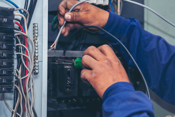 Best Licensed Electrician  in Pine Hills, FL